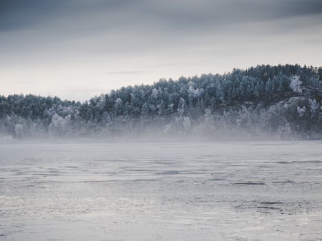 Serene winter landscape of a misty lake surrounded by frosted trees under an overcast sky.